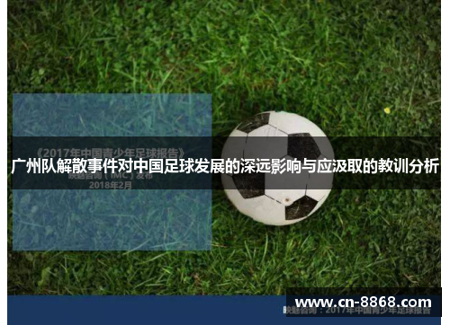 广州队解散事件对中国足球发展的深远影响与应汲取的教训分析