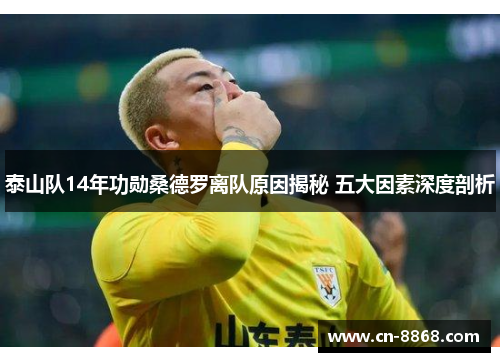 泰山队14年功勋桑德罗离队原因揭秘 五大因素深度剖析