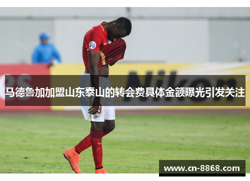 马德鲁加加盟山东泰山的转会费具体金额曝光引发关注