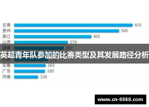 英超青年队参加的比赛类型及其发展路径分析